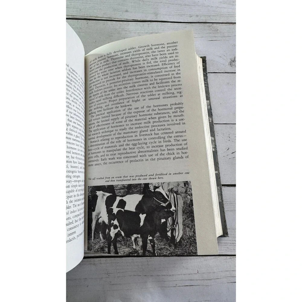 After A Hundred Years Yearbook of Agriculture 1962 USDA Hardcover